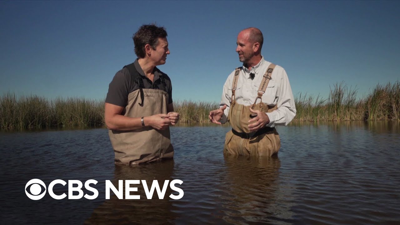 Protecting and preserving the environment | Eye on America - Main ...