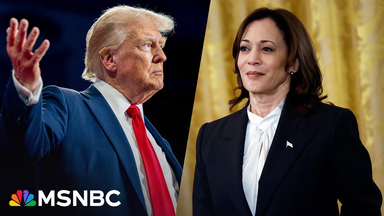 ‘Bringing the fight to Trump': How VP Kamala Harris candidacy has ...