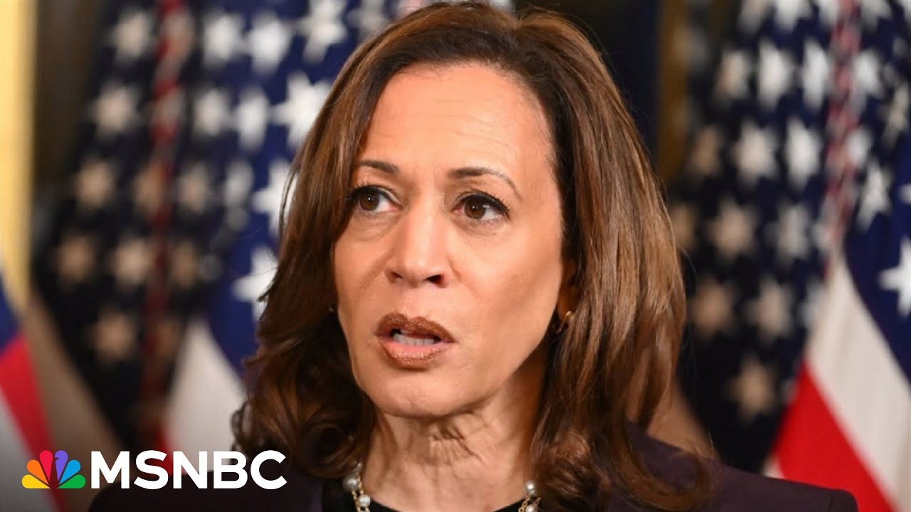 Harris to choose VP from ‘a deep bench of Democrats' - Main Stream Videos