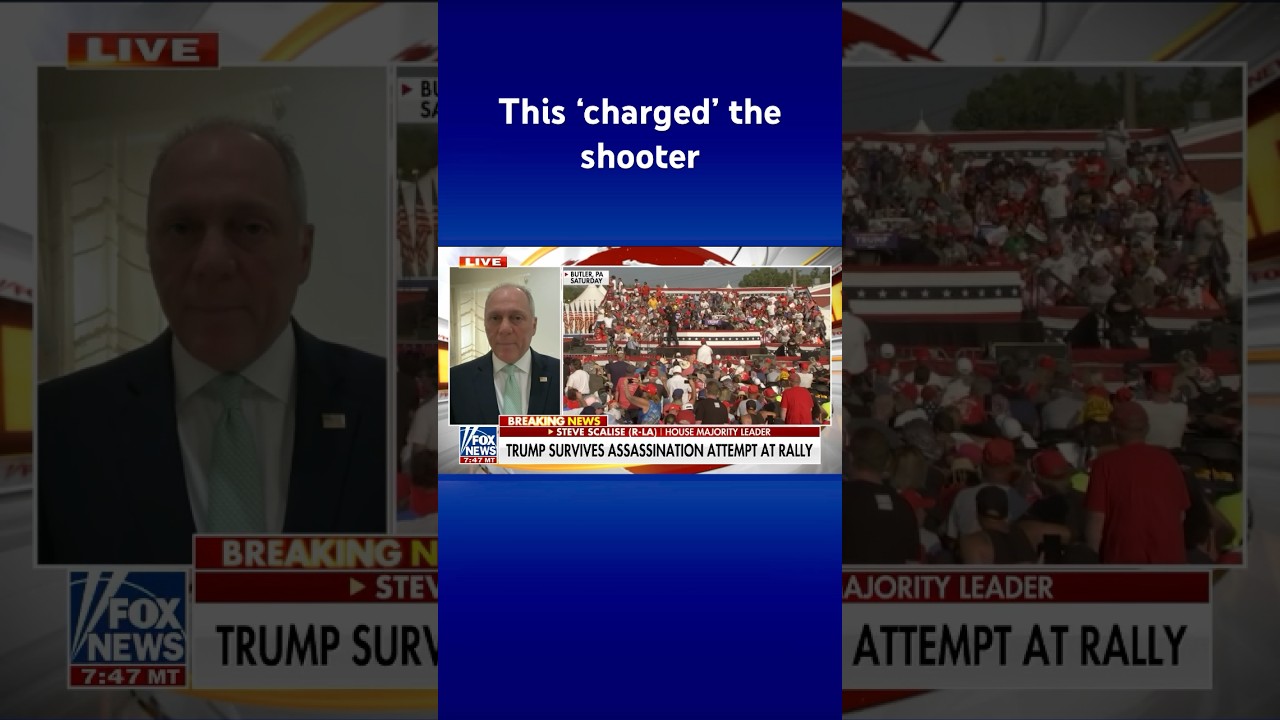 Steve Scalise, Who Also Suffered A Gunshot Injury, Explains The Left 