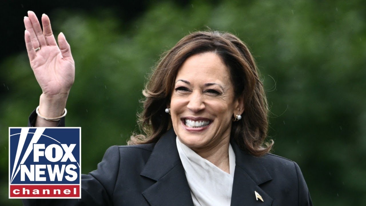 VEEPSTAKES Who will Kamala Harris’ running mate be? Main Stream Videos