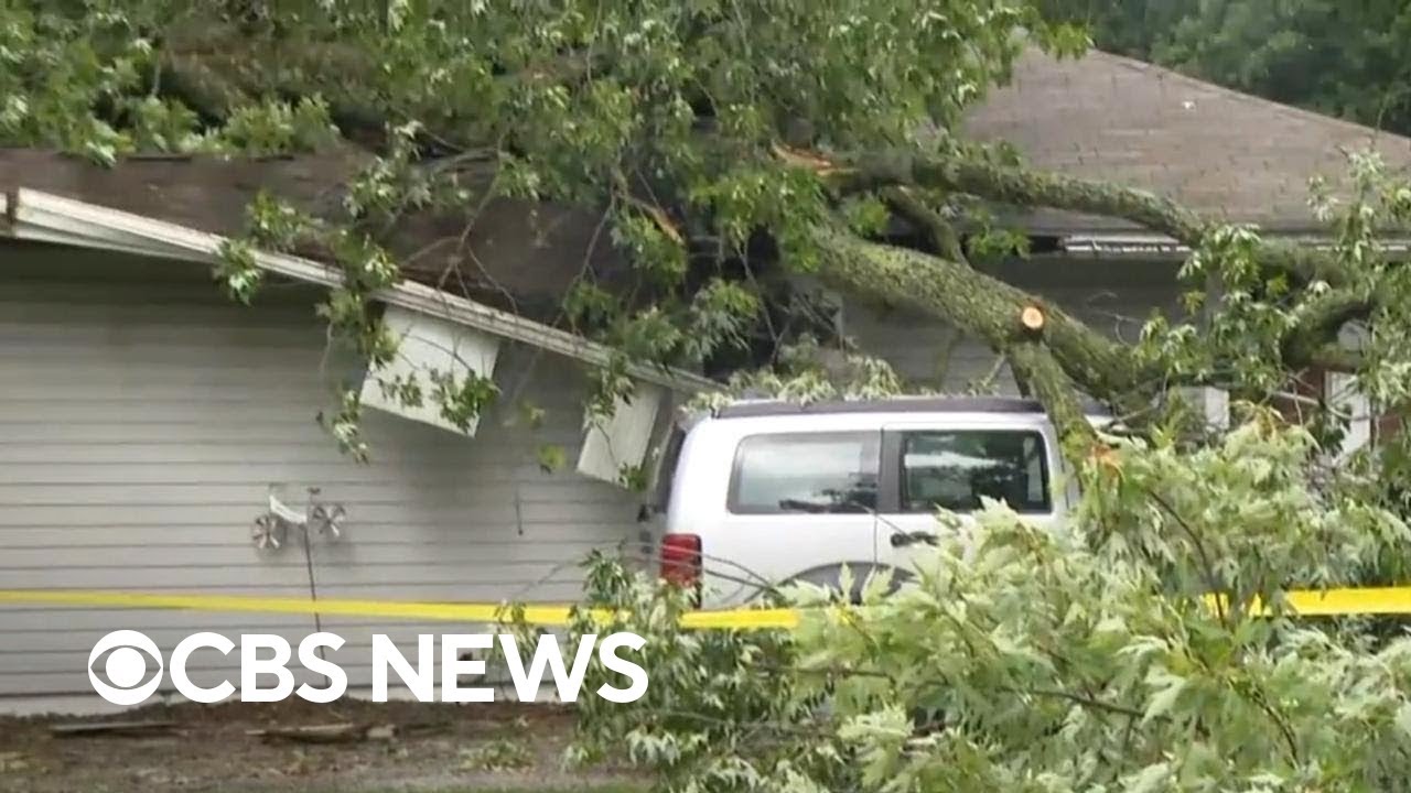 Woman killed after tree falls on home as severe storms roll through ...