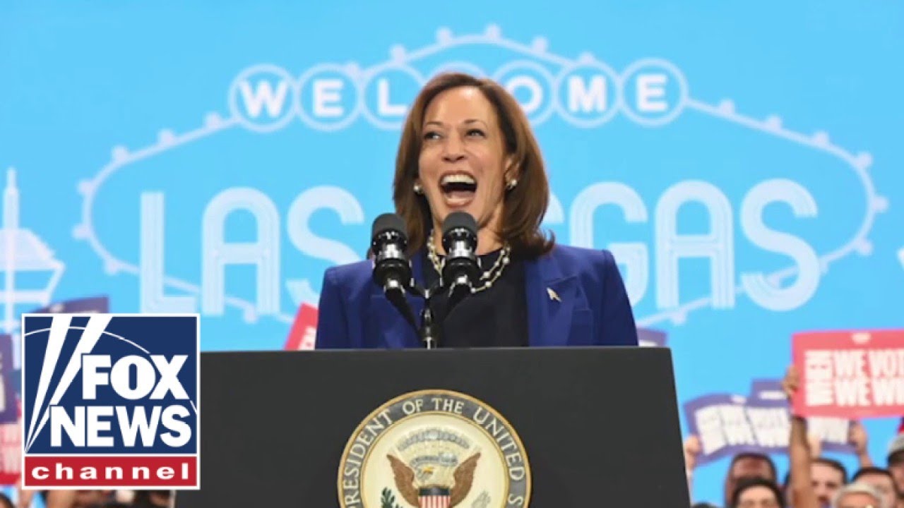 2024 was ‘not a Kamala Harris problem,’ Dem rep says Main