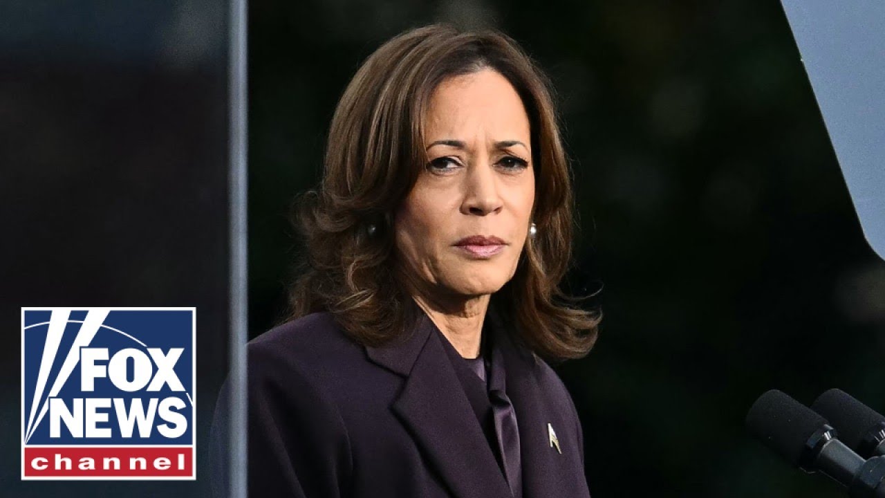 Dems' blame game on Kamala Harris' loss in full swing 'Ivorytower