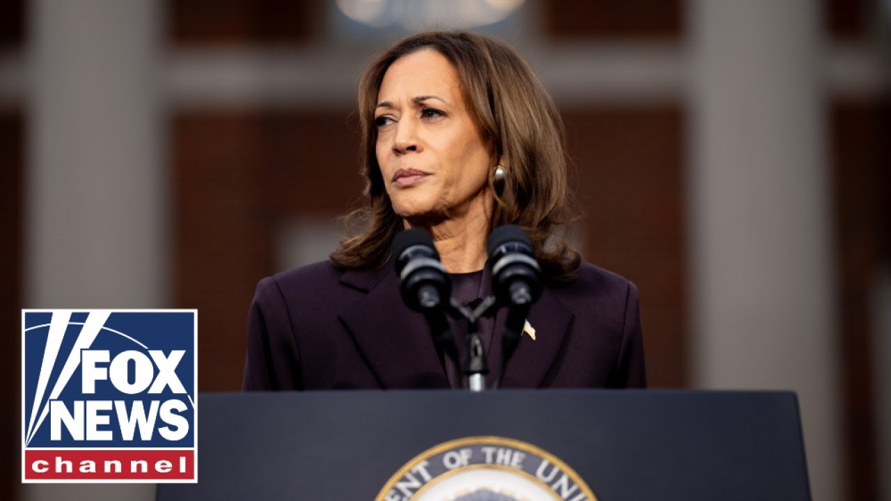 'EPIC DISASTER' Kamala Harris donors furious after 2024 loss Main