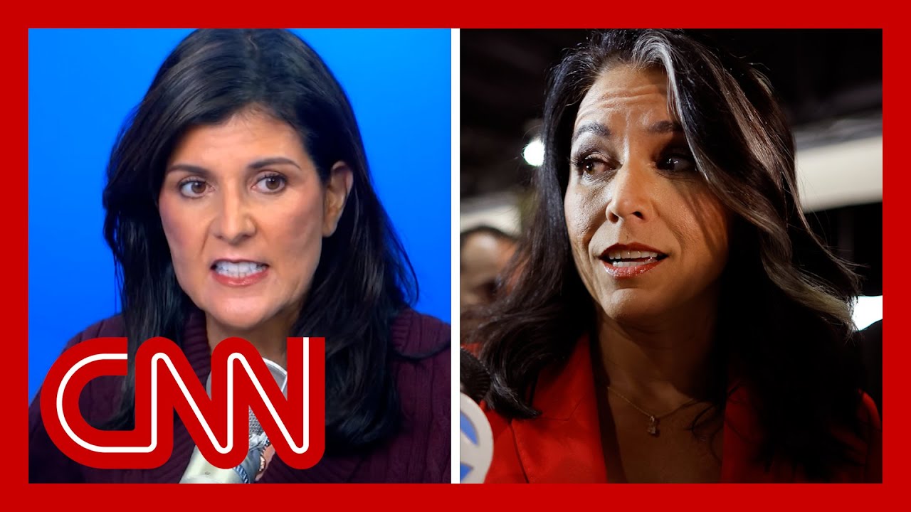 Nikki Haley Slams Trump's Pick Of Tulsi Gabbard For DNI - Main Stream ...